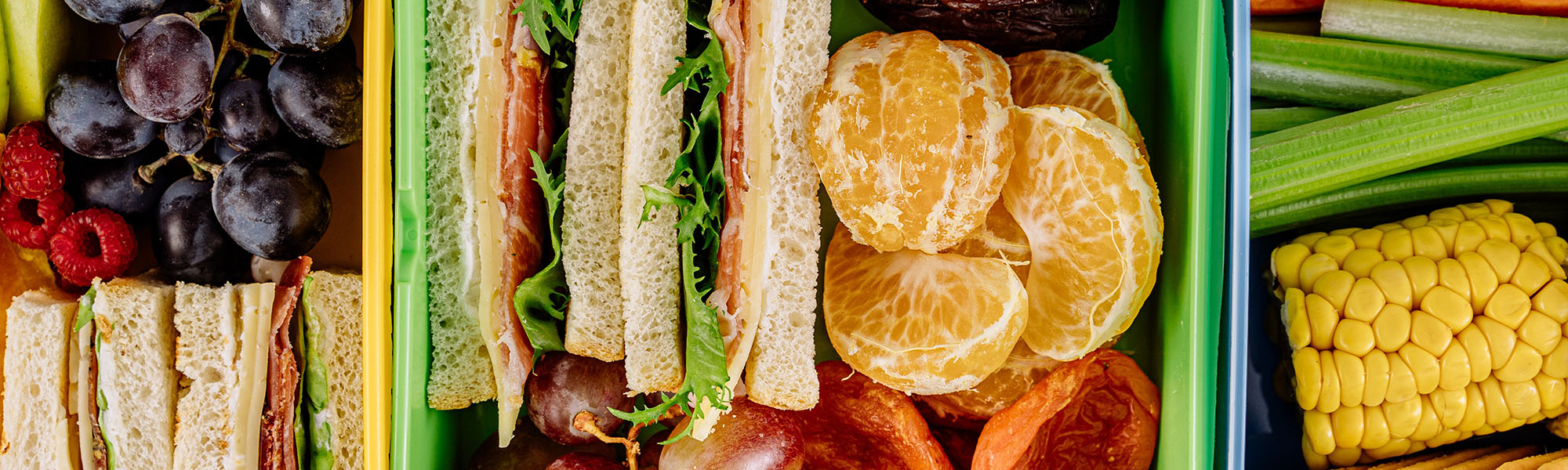 Orthodontics Approved Back to School Foods